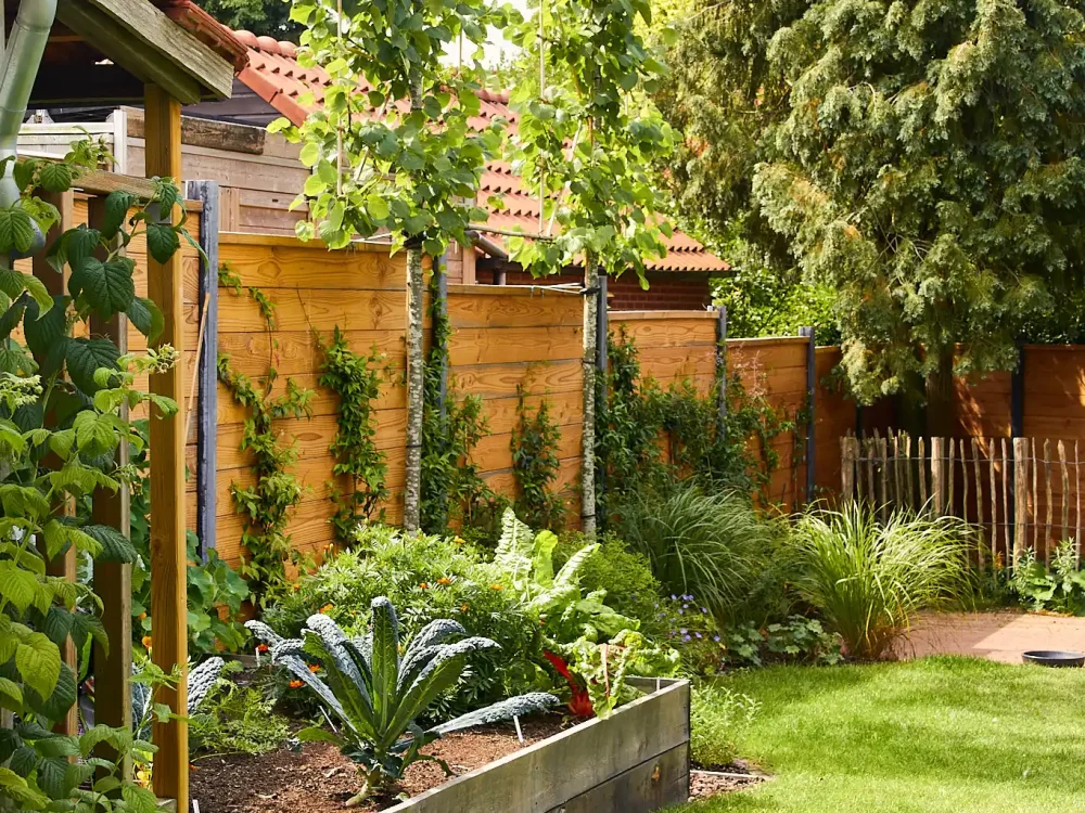 Hemmen_vdkamp_GroeneVingers_2507220565.jpg